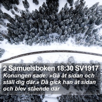 2 Samuelsboken 18:30 SV1917 Bible Verse Image