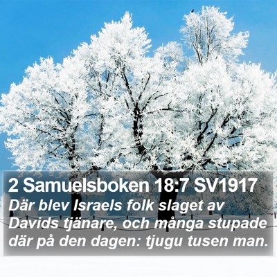 2 Samuelsboken 18:7 SV1917 Bible Verse Image