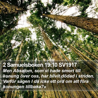 2 Samuelsboken 19:10 SV1917 Bible Verse Image