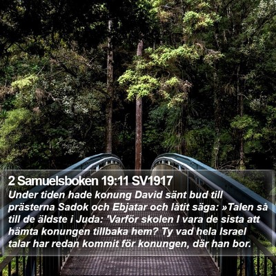 2 Samuelsboken 19:11 SV1917 Bible Verse Image