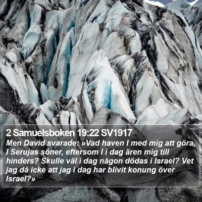 2 Samuelsboken 19:22 SV1917 Bible Verse Image