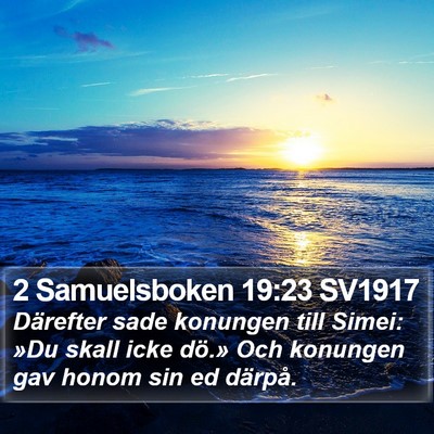 2 Samuelsboken 19:23 SV1917 Bible Verse Image