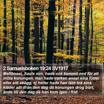 2 Samuelsboken 19:24 SV1917 Bible Verse Image