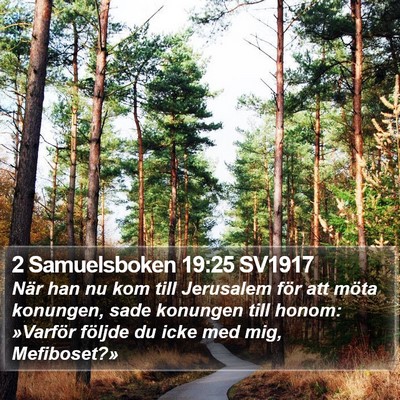 2 Samuelsboken 19:25 SV1917 Bible Verse Image