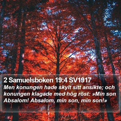 2 Samuelsboken 19:4 SV1917 Bible Verse Image