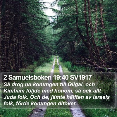 2 Samuelsboken 19:40 SV1917 Bible Verse Image