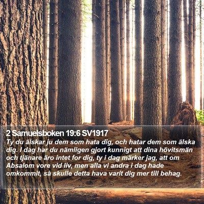 2 Samuelsboken 19:6 SV1917 Bible Verse Image