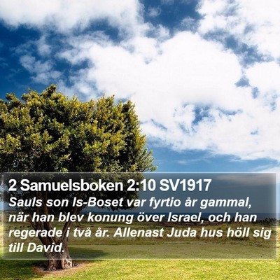 2 Samuelsboken 2:10 SV1917 Bible Verse Image