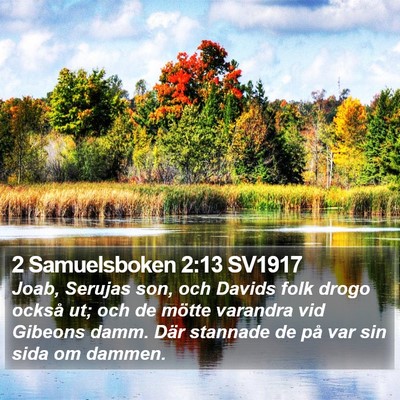 2 Samuelsboken 2:13 SV1917 Bible Verse Image