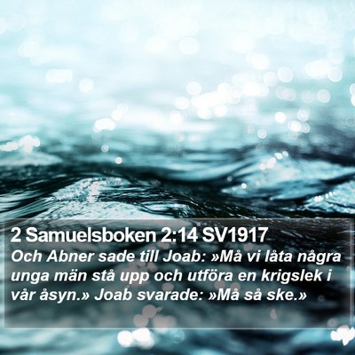 2 Samuelsboken 2:14 SV1917 Bible Verse Image