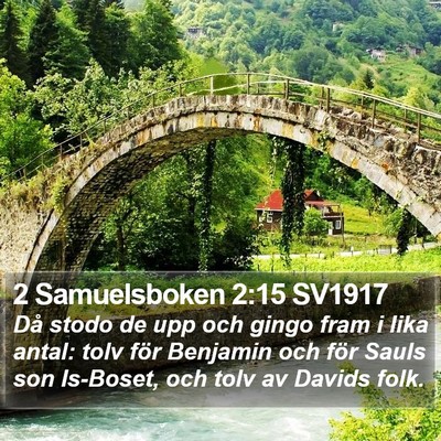 2 Samuelsboken 2:15 SV1917 Bible Verse Image