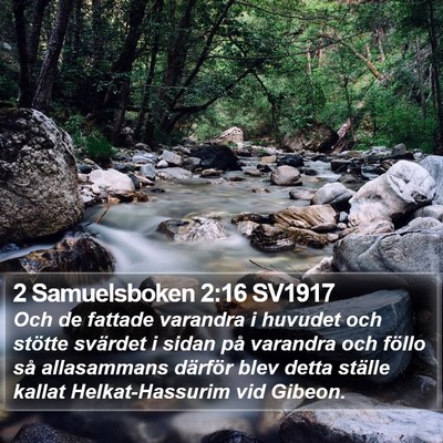 2 Samuelsboken 2:16 SV1917 Bible Verse Image