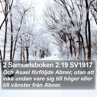 2 Samuelsboken 2:19 SV1917 Bible Verse Image