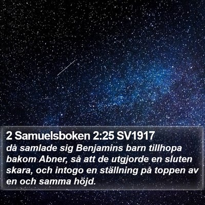 2 Samuelsboken 2:25 SV1917 Bible Verse Image
