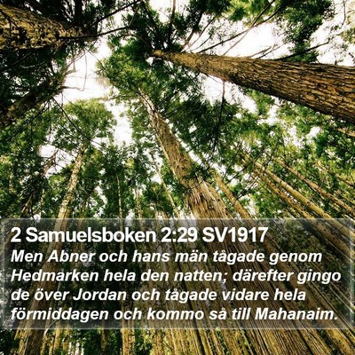 2 Samuelsboken 2:29 SV1917 Bible Verse Image