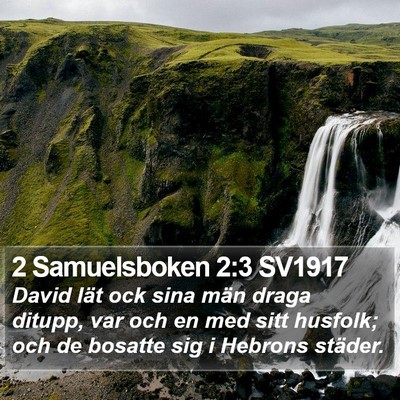 2 Samuelsboken 2:3 SV1917 Bible Verse Image