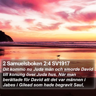 2 Samuelsboken 2:4 SV1917 Bible Verse Image