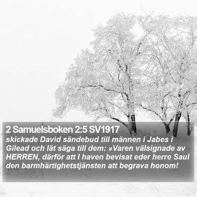 2 Samuelsboken 2:5 SV1917 Bible Verse Image