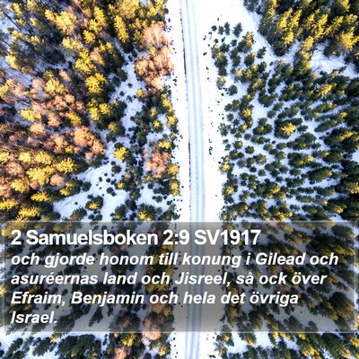 2 Samuelsboken 2:9 SV1917 Bible Verse Image