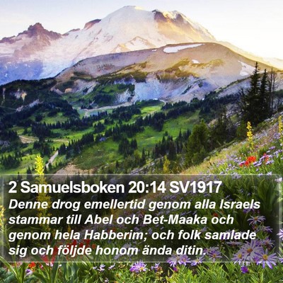 2 Samuelsboken 20:14 SV1917 Bible Verse Image