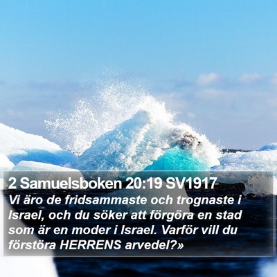 2 Samuelsboken 20:19 SV1917 Bible Verse Image