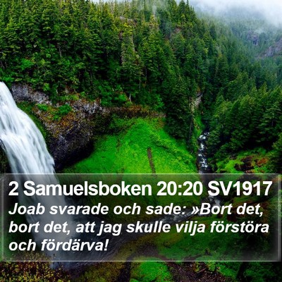 2 Samuelsboken 20:20 SV1917 Bible Verse Image
