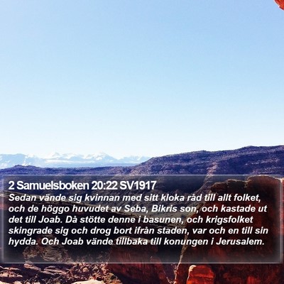 2 Samuelsboken 20:22 SV1917 Bible Verse Image