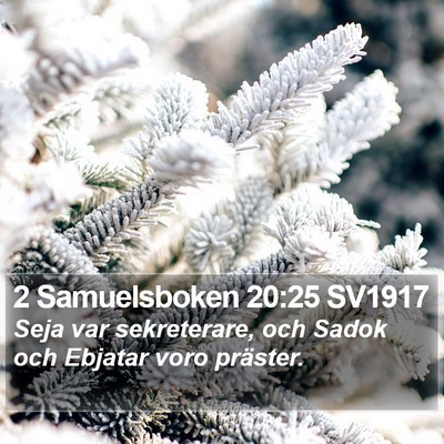 2 Samuelsboken 20:25 SV1917 Bible Verse Image