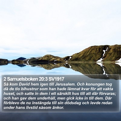 2 Samuelsboken 20:3 SV1917 Bible Verse Image