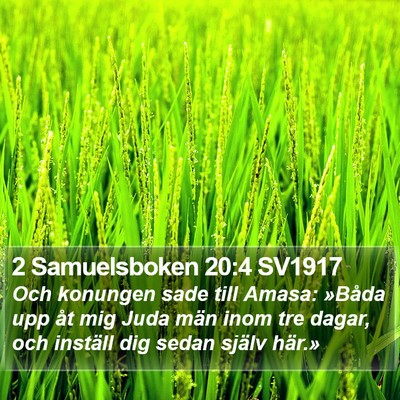 2 Samuelsboken 20:4 SV1917 Bible Verse Image