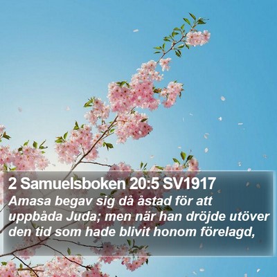 2 Samuelsboken 20:5 SV1917 Bible Verse Image