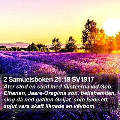 2 Samuelsboken 21:19 SV1917 Bible Verse Image