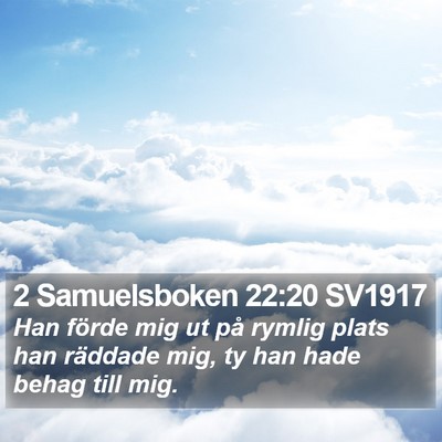2 Samuelsboken 22:20 SV1917 Bible Verse Image