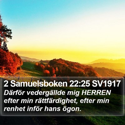 2 Samuelsboken 22:25 SV1917 Bible Verse Image
