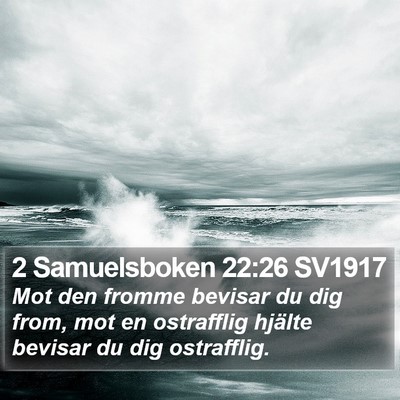 2 Samuelsboken 22:26 SV1917 Bible Verse Image