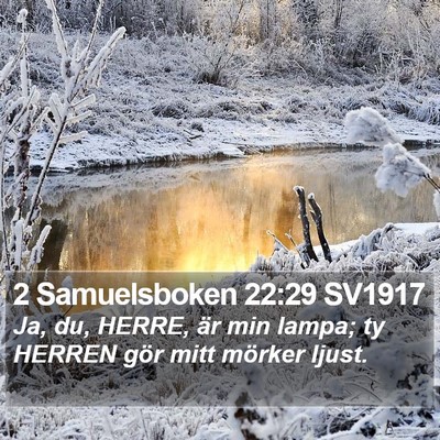 2 Samuelsboken 22:29 SV1917 Bible Verse Image