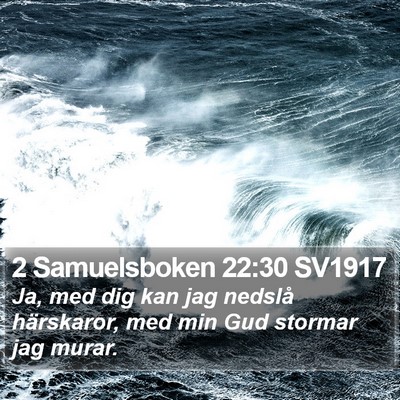 2 Samuelsboken 22:30 SV1917 Bible Verse Image