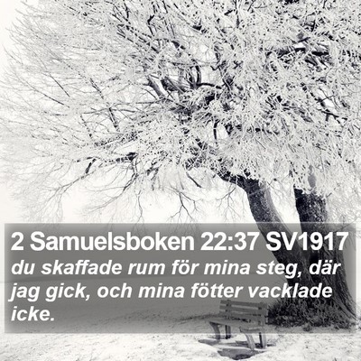 2 Samuelsboken 22:37 SV1917 Bible Verse Image