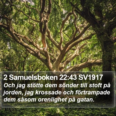 2 Samuelsboken 22:43 SV1917 Bible Verse Image