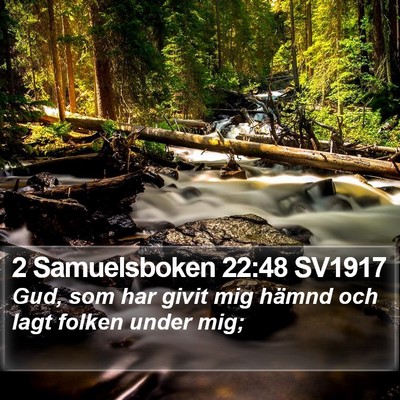 2 Samuelsboken 22:48 SV1917 Bible Verse Image