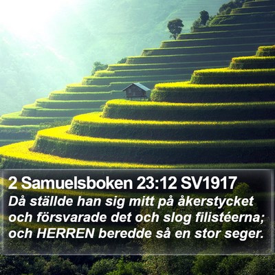2 Samuelsboken 23:12 SV1917 Bible Verse Image