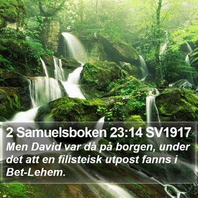 2 Samuelsboken 23:14 SV1917 Bible Verse Image