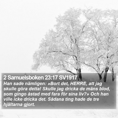 2 Samuelsboken 23:17 SV1917 Bible Verse Image