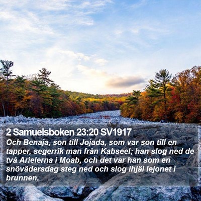 2 Samuelsboken 23:20 SV1917 Bible Verse Image