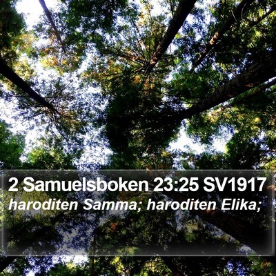 2 Samuelsboken 23:25 SV1917 Bible Verse Image