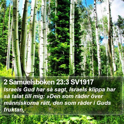 2 Samuelsboken 23:3 SV1917 Bible Verse Image