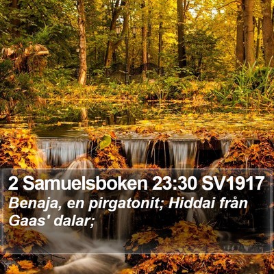 2 Samuelsboken 23:30 SV1917 Bible Verse Image