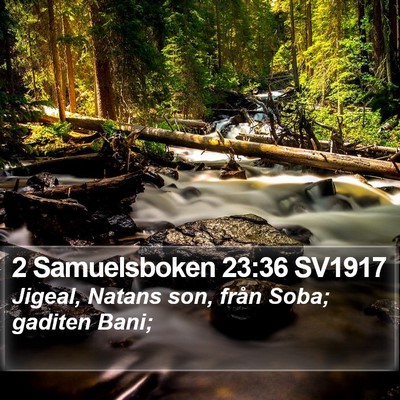 2 Samuelsboken 23:36 SV1917 Bible Verse Image