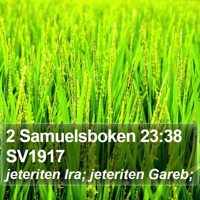 2 Samuelsboken 23:38 SV1917 Bible Verse Image