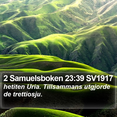 2 Samuelsboken 23:39 SV1917 Bible Verse Image